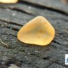 CEYLON NATURAL YELLOW SAPPHIRE ROUGH GEMSTONES - city of gem Ratnapura