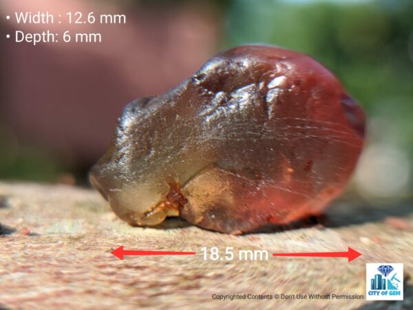 Ceylon Natural Bi colour Zircon Rough Gemstone - city of gem Ratnapura