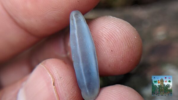 Ceylon Natural Blue Sapphire Alluvial Crystal Geuda- city of gem Ratnapura
