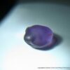 Ceylon Natural Colour Shifting Sapphire Rough Gemstone ( Colour shifting Violet to Pink ) - city of gem Ratnapura