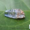 _Ceylon Natural Glass Body Sapphire Crystal ( Shiny Glass Body ) - city of gem Ratnapura