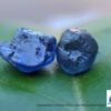 Ceylon Natural Royal Blue Sapphire Rough Gemstone - city of gem Ratnapura