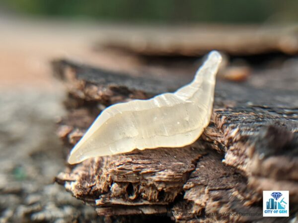 Ceylon Natural Sapphire Rough Glass Body Complete Crystal ( Unique Shape ) - city of gem Ratnapura