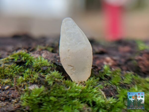 _Ceylon Natural Small Sapphire Crystals Collection. - city of gem Ratnapura