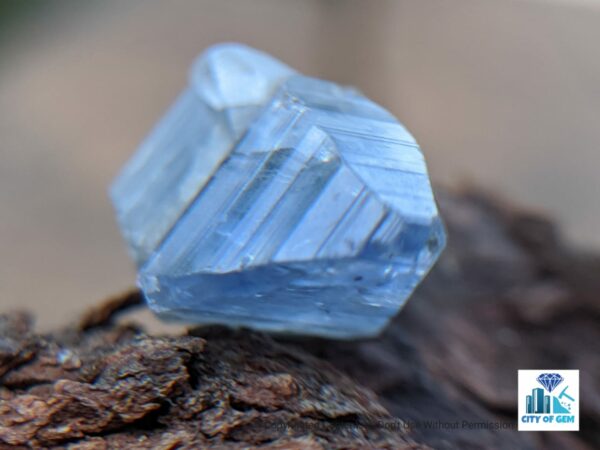 Ceylon Natural Double Terminated Sapphire geuda (dungal) Complete Crystal Couple ( glass body ) - city of gem Ratnapura