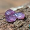CEYLON NATURAL SAPPHIRE ROUGH GEMSTONE LOT ( රතු ලොට් )- city of is Ratnapura