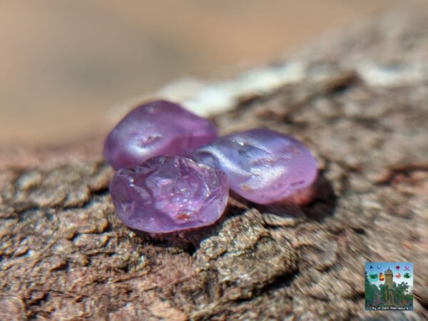 CEYLON NATURAL SAPPHIRE ROUGH GEMSTONE LOT ( රතු ලොට් )- city of is Ratnapura