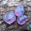 CEYLON NATURAL SAPPHIRE ROUGH GEMSTONE LOT ( රතු ලොට් )- city of is Ratnapura