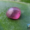 CEYLON NATURAL PINK SAPPHIRE ROUGH GEMSTONE COUPLE - city of gem Ratnapura