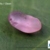 CEYLON NATURAL PINK SAPPHIRE ROUGH GEMSTONES LOT - city of gem Ratnapura