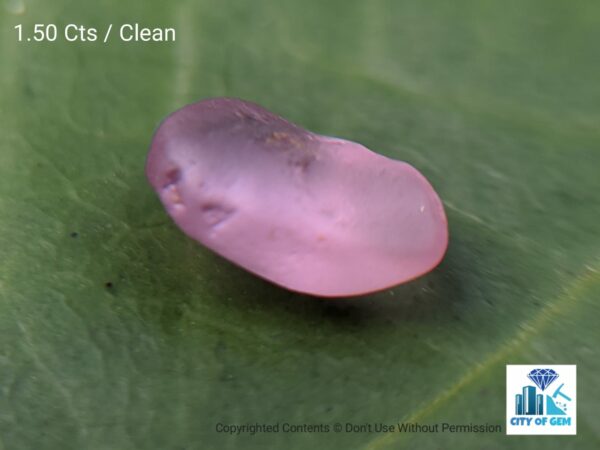 CEYLON NATURAL PINK SAPPHIRE ROUGH GEMSTONES LOT - city of gem Ratnapura