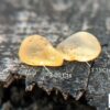 CEYLON NATURAL YELLOW SAPPHIRE ROUGH GEMSTONES COUPLE - city of gem Ratnapura