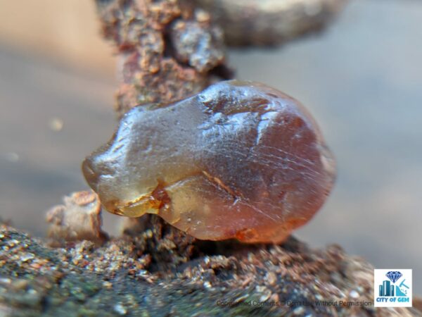 Ceylon Natural Bi colour Zircon Rough Gemstone - city of gem Ratnapura