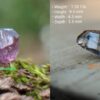 Ceylon Natural Heating Sapphires Rathu Ottu ( shiny glass body half crystal ) - city of gem Ratnapura