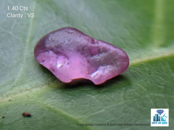 Ceylon Natural Sapphire Rough Gemstone Lot
