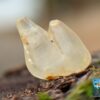 Ceylon Natural Small Yellow Sapphire Twin Crystals Couple - city of gem Ratnapura