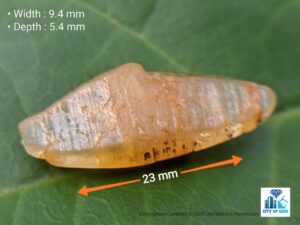 Ceylon Natural Yellow Sapphire Crystal - city of gem Ratnapura