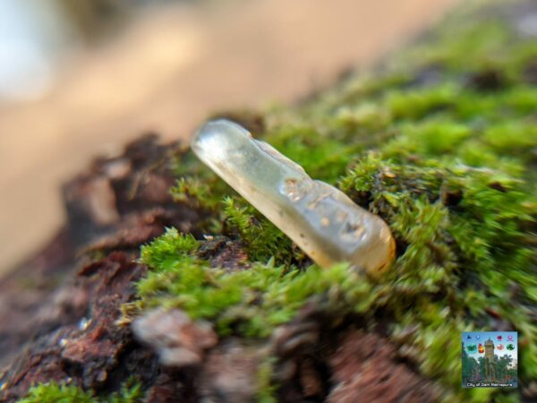 Ceylon Natural Yellow Sapphire Crystals - city of gem Ratnapura