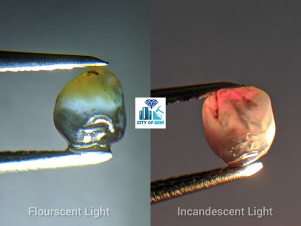 Very Rare Natural Chrysoberyl Alexanderite Cat's Eye Rough Gemstone - city of gem Ratnapura