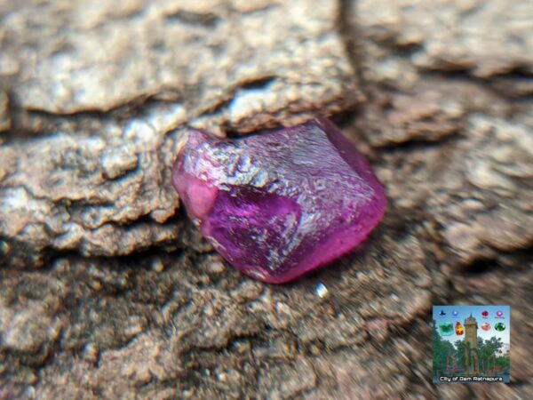 CEYLON NATURAL SAPPHIRE ROUGH GEMSTONE LOT ( රතු ලොට් )- city of is Ratnapura