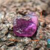 CEYLON NATURAL SAPPHIRE ROUGH GEMSTONE LOT ( රතු ලොට් )- city of is Ratnapura