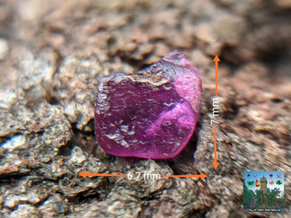 CEYLON NATURAL SAPPHIRE ROUGH GEMSTONE LOT ( රතු ලොට් )- city of is Ratnapura