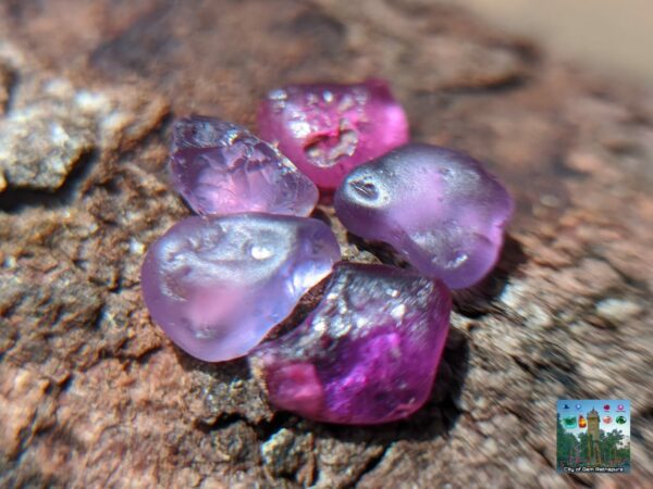 CEYLON NATURAL SAPPHIRE ROUGH GEMSTONE LOT ( රතු ලොට් )- city of is Ratnapura