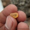 CEYLON NATURAL YELLOW SAPPHIRE ROUGH GEMSTONES COUPLE - city of gem Ratnapura
