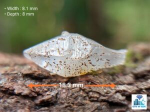 Ceylon Natural geuda Heating Sapphire Crystal - city of gem Ratnapura