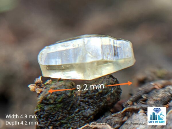 Ceylon Natural Pink Sapphire and Yellow Sapphire Shiny Glass Body Crystal Couple - city of gem Ratnapura