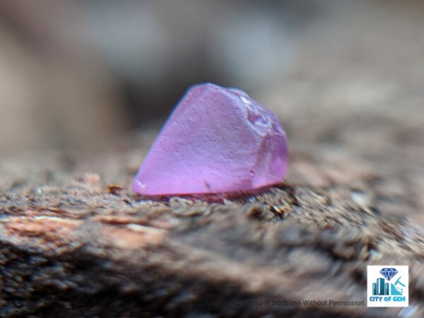 Ceylon Natural Sapphire Rough Gemstone Lot