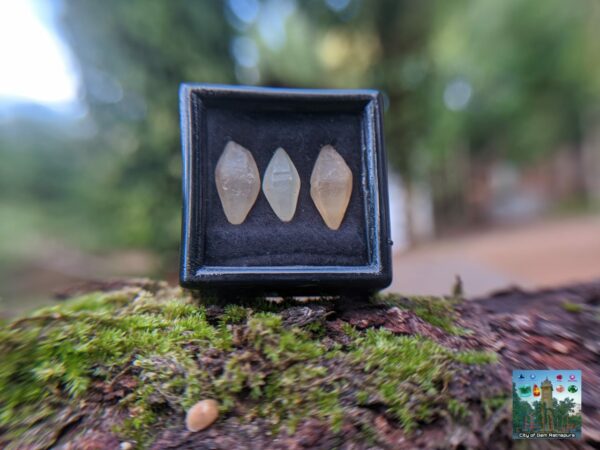 _Ceylon Natural Small Sapphire Crystals Collection. - city of gem Ratnapura