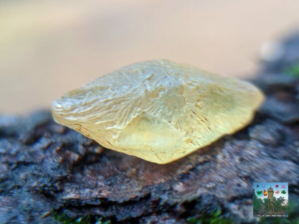 Ceylon Natural Yellow Sapphire Alluvial Crystal with Amazing Natural Body Carvings ( Collector peice, not for faceting) - city of gem Ratnapura