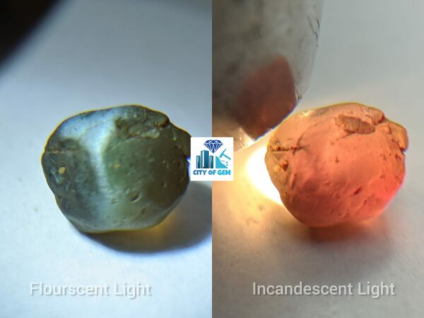 Very Rare Natural Chrysoberyl Alexanderite Cat's Eye Rough Gemstone - city of gem Ratnapura