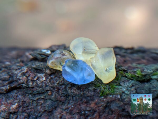 CEYLON NATURAL BLUE SAPPHIRE AND YELLOW SAPPHIRES LOT - city of gem Ratnapura
