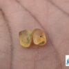 CEYLON NATURAL YELLOW SAPPHIRE ROUGH GEMSTONE - city of gem Ratnapura