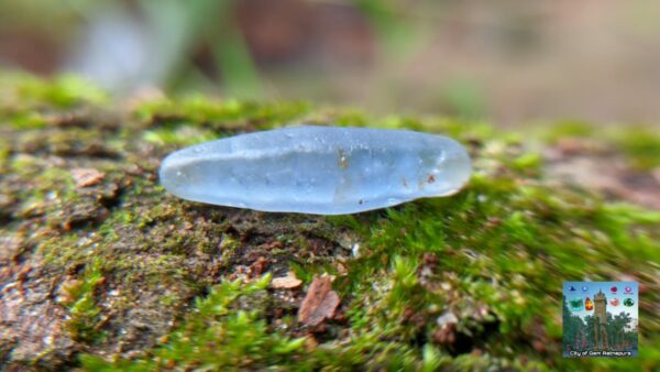 Ceylon Natural Blue Sapphire Alluvial Crystal Geuda- city of gem Ratnapura