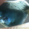 Ceylon Natural Dark Blue Sapphire kaka blue කාක නිල් - city of gem Ratnapura