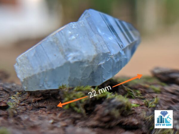 Ceylon Natural Double Terminated Sapphire geuda (dungal) Complete Crystal Couple ( glass body ) - city of gem Ratnapura