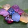 Ceylon Natural Sapphire Rough Gemstone Lot