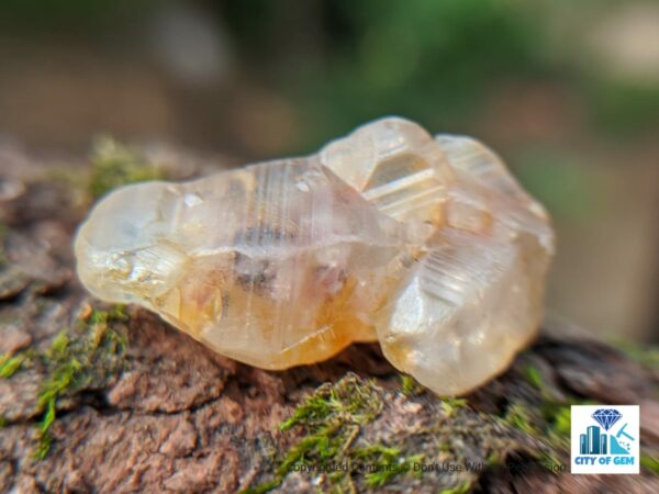 Ceylon Natural Sapphire Twin Crystal ( Rough Glass Body ) - city of gem Ratnapura