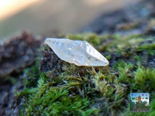 Ceylon Natural Small Sapphire Crystals Collection - city of gem Ratnapura