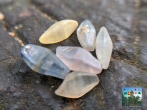 Ceylon Natural Small Sapphire Crystals Collection- city of gem Ratnapura