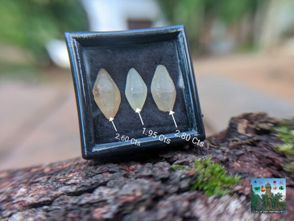 _Ceylon Natural Small Sapphire Crystals Collection. - city of gem Ratnapura