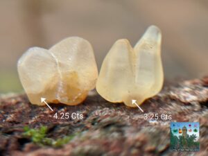 Ceylon Natural Small Yellow Sapphire Twin Crystals Couple - city of gem Ratnapura