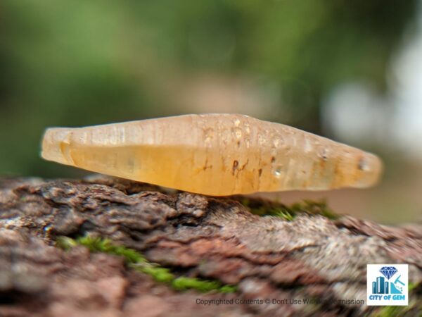 Ceylon Natural Yellow Sapphire Crystal - city of gem Ratnapura