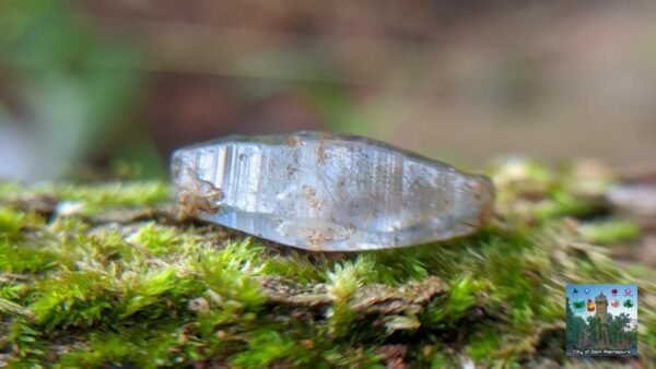 Double Terminated Ceylon Natural Sapphire Glass body Complete Crystal - city of gem Ratnapura