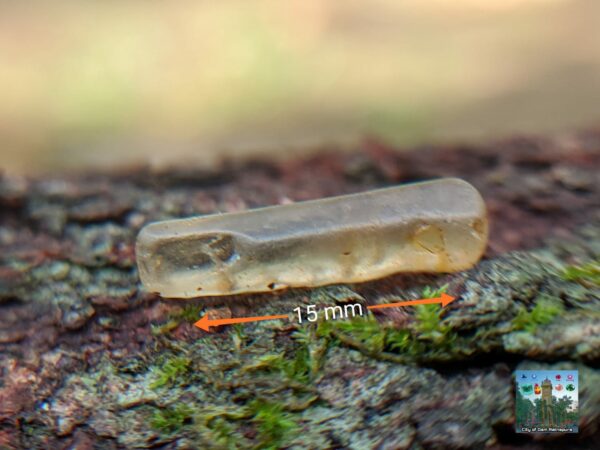 CEYLON NATURAL OLIVE GREEN ZIRCON ROUGH GEMSTONES - city of gem Ratnapura