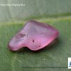 CEYLON NATURAL PINK SAPPHIRE ROUGH GEMSTONES LOT - city of gem Ratnapura