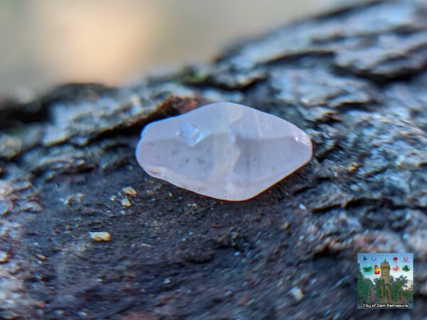 Ceylon Natural Small Sapphire Crystals Collection - city of gem Ratnapura